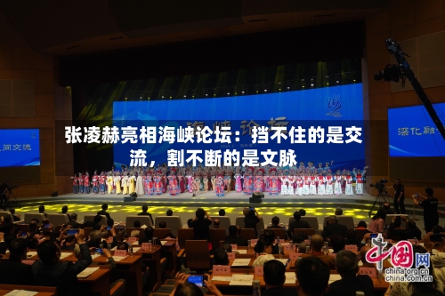张凌赫亮相海峡论坛：挡不住的是交流，割不断的是文脉-第3张图片