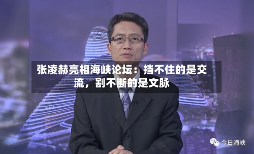 张凌赫亮相海峡论坛：挡不住的是交流	，割不断的是文脉-第2张图片