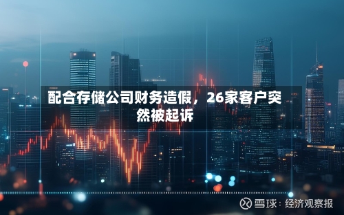 配合存储公司财务造假，26家客户突然被起诉-第2张图片
