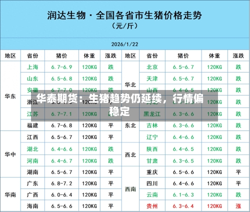 华泰期货：生猪趋势仍延续，行情偏稳定-第3张图片