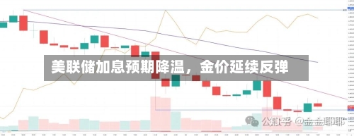 美联储加息预期降温	，金价延续反弹-第2张图片